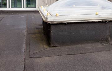 disadvantages of Brunswick Village flat roofs